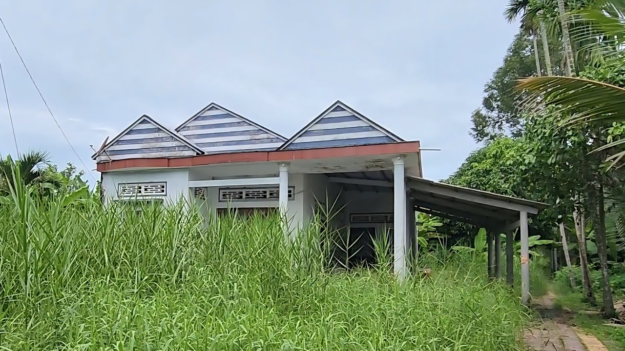 Nh&agrave; hoang rợn người nh&agrave; cắt dừa xong th&igrave; chủ cũng kh&ocirc;ng c&ograve;n sống
