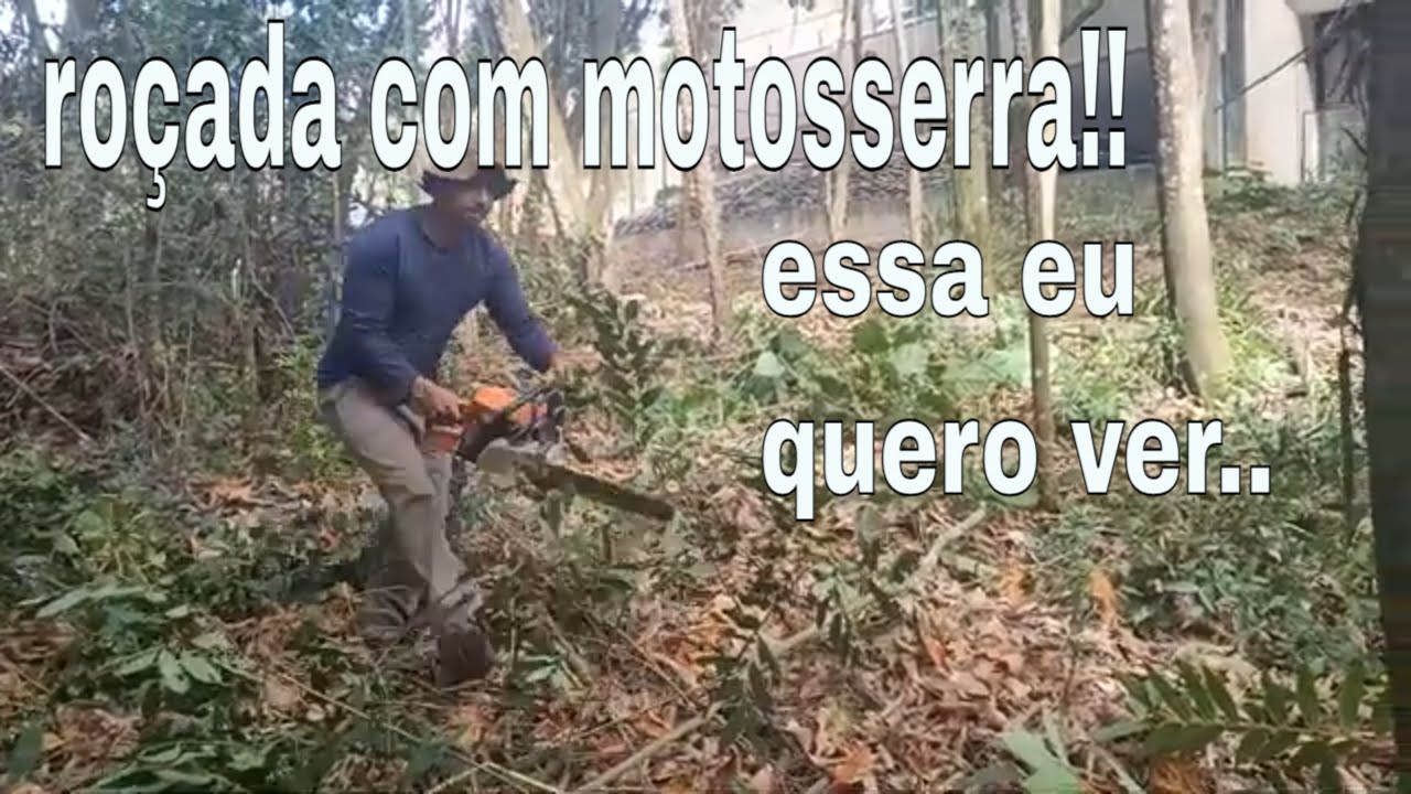 Ro&ccedil;ada com motosserra, Veja como ro&ccedil;ar como moto serra Stihl Ms 250 o mato.
