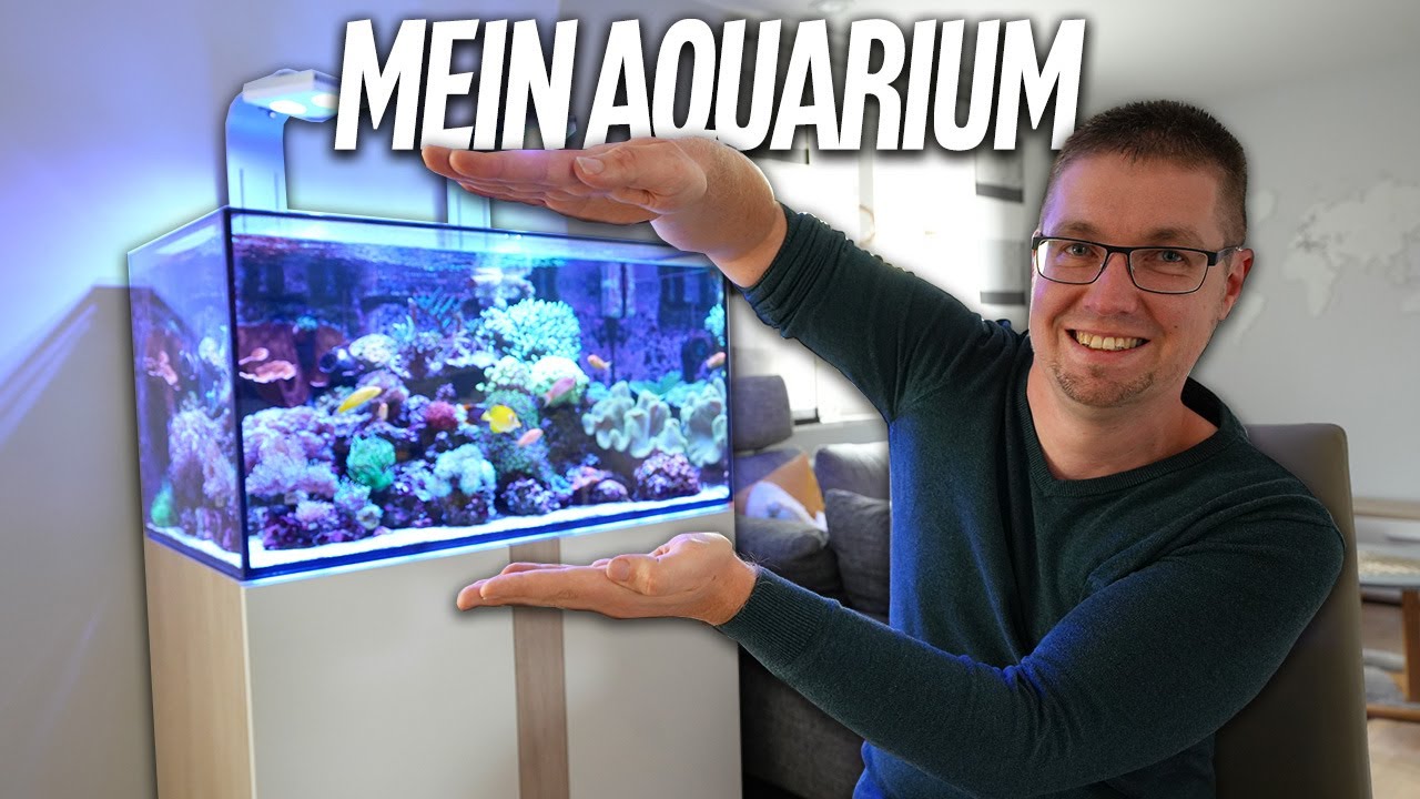 Michl zeigt sein AQUARIUM zu Hause (endlich!) - PlanktonPlus Aquaristik