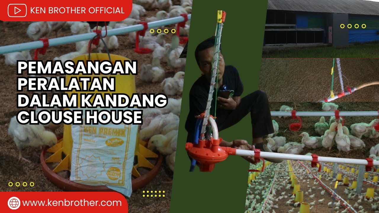Pemasangan Celldex, System Water Regulator, Endset, Dan Nipple Lonjoran Kandang Clouse House