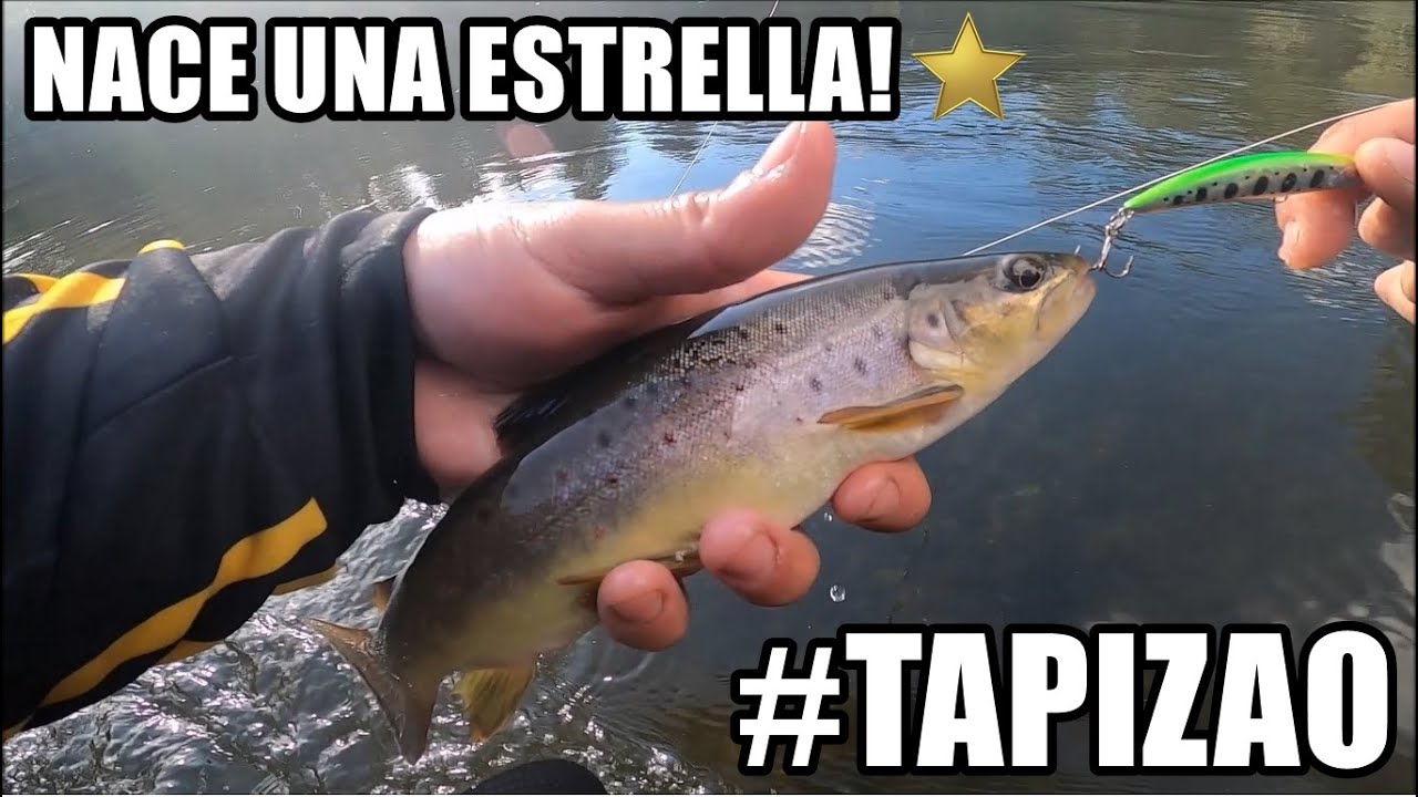 Un nuevo señuelo letal para la pesca de truchas - Sur de Chile.