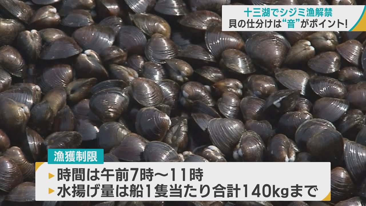 「十三湖のシジミ」漁解禁　貝の仕分けは「音」の違いで　ベテラン漁師「中身がないと、カランという音」　質の良いおいしいシジミをお届け！／青森・五所川原市