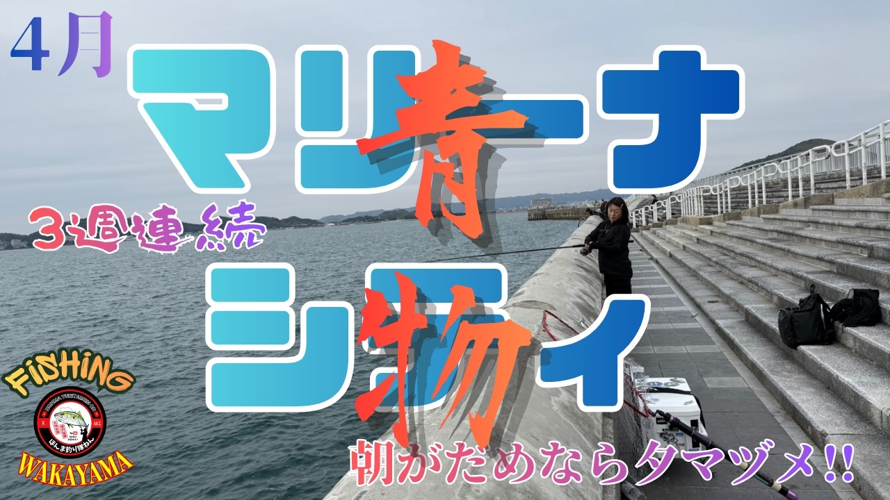 【3週連続・マリーナシティ】今回あえて夕マヅメ狙いで、サゴシ&青物が釣れるのか実釣してきま来た!!　#釣り #fishing #和歌山釣り #マリーナシティ#青物 #ショアジギング#煙樹ヶ浜