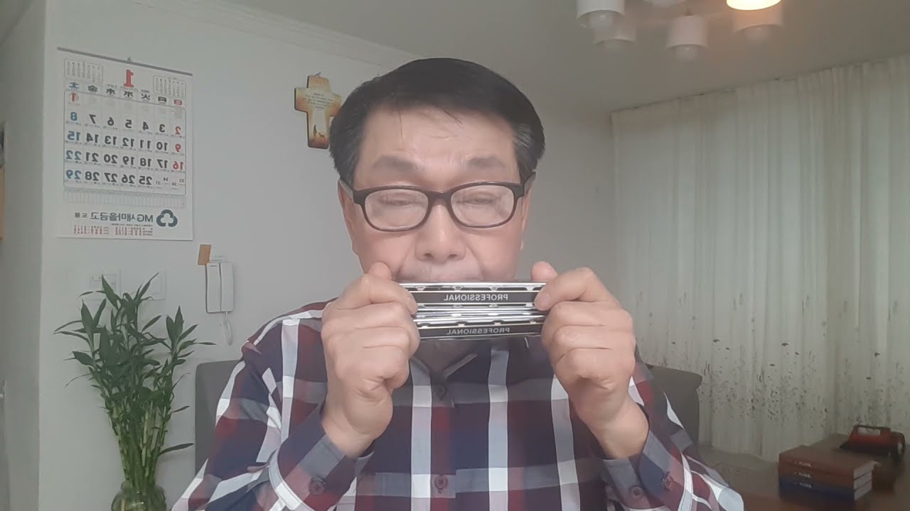 Stagecoach ( 역마차) (Original Sound Track) 하모니카G/c# (옹달샘 하재웅)188번째곡