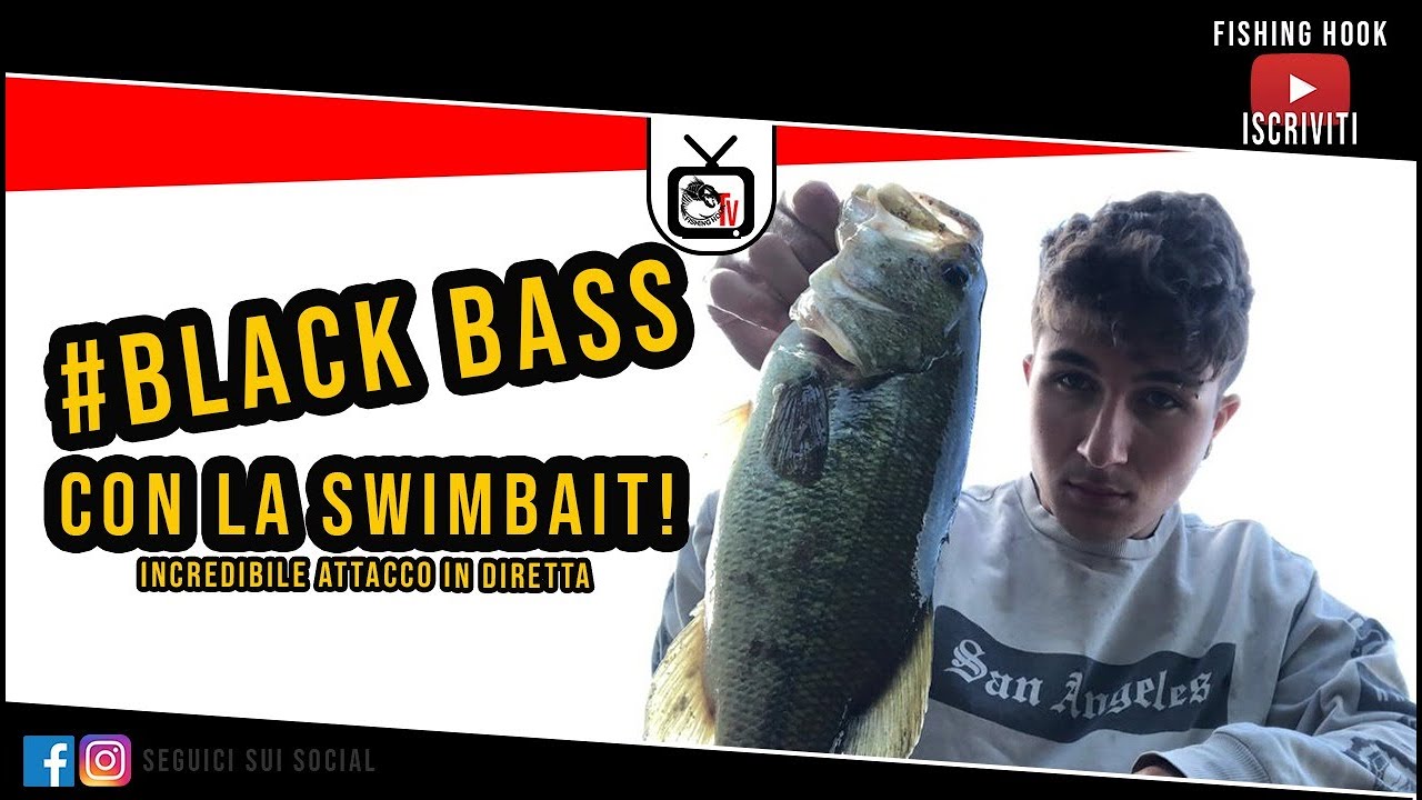 casting al bass con la swimbait. attacchi in diretta