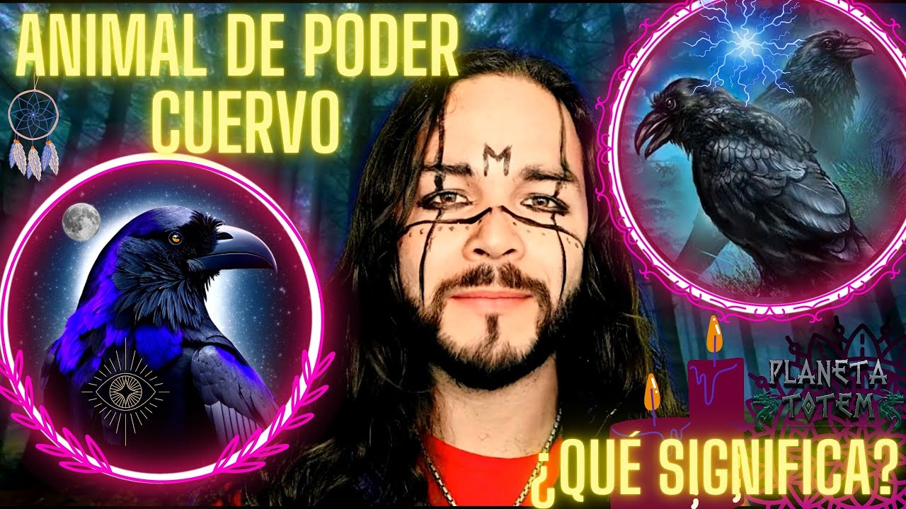 Animal de poder Cuervo y su significado espiritual