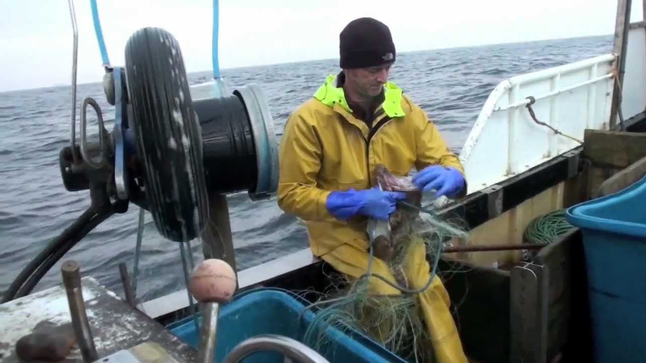 PW81 Julie Girl, Mikey Taylor-Firth. Single handed Cornish monk tangle net fishery. Pisces-RFR