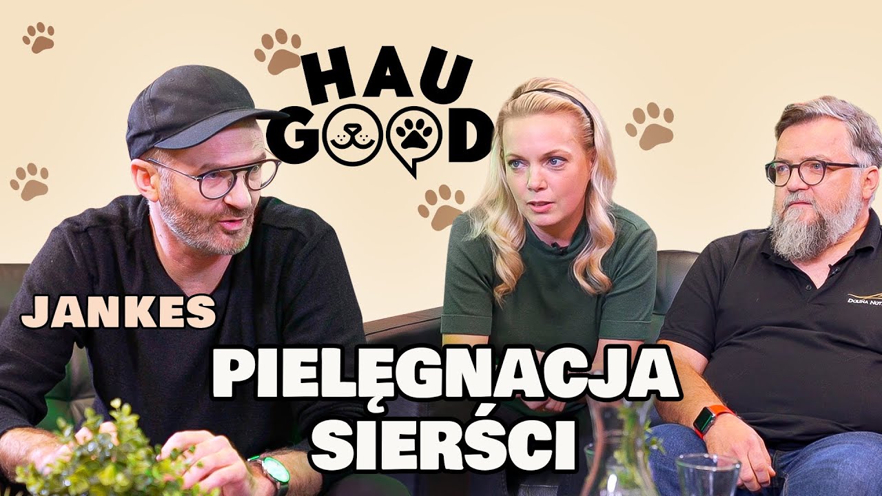 Jak dbać o sierść psa? Czemu jest to ważne? | HAU GOOD