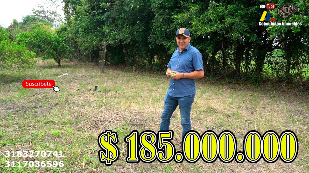 🌳El lugar perfecto para tu casa campestre: frutales, naturaleza y privacidad💚3117036596