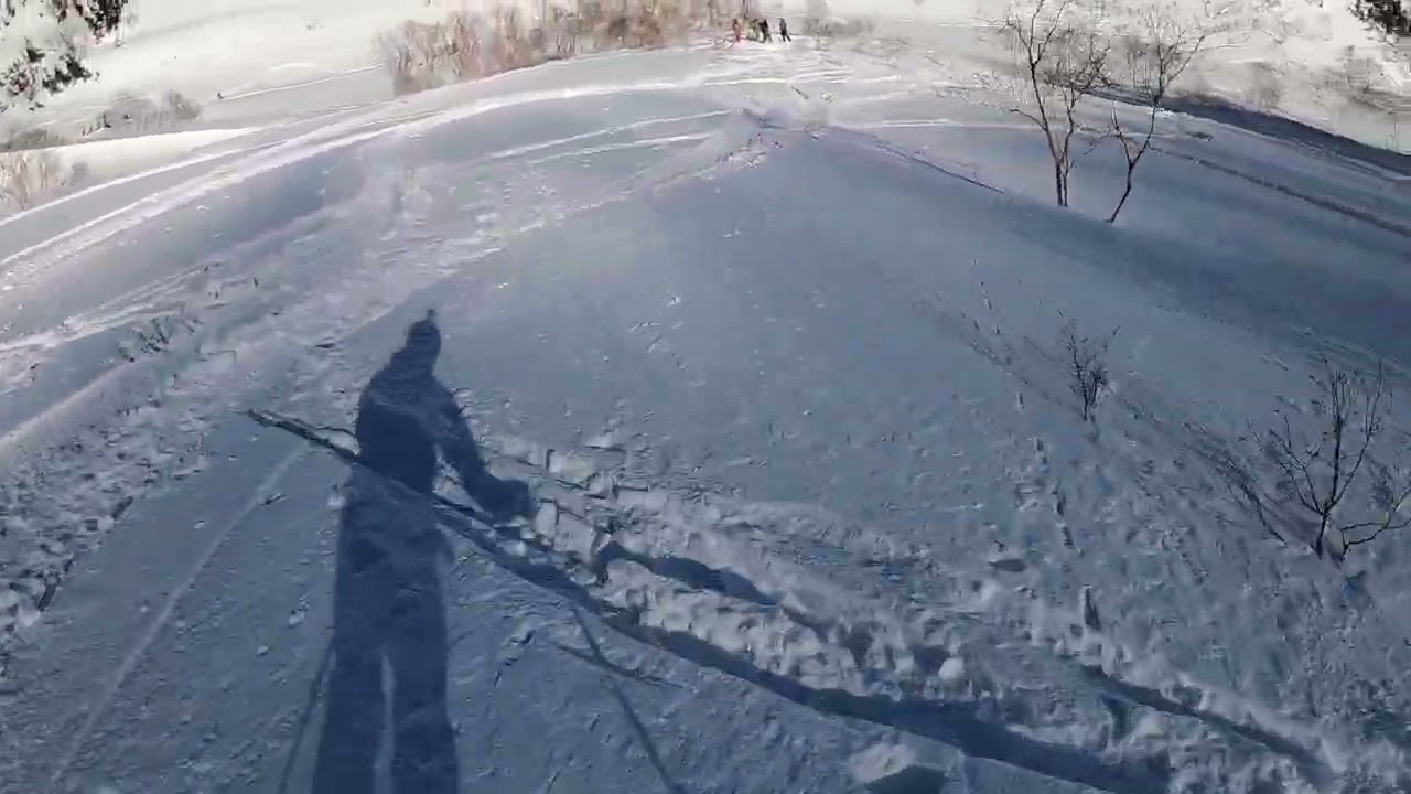 Tsugaike backcountry Hakuba, Japan 🇯🇵