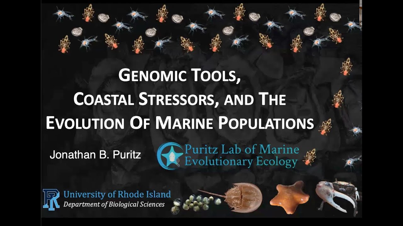 CPB Seminar: Jon Puritz