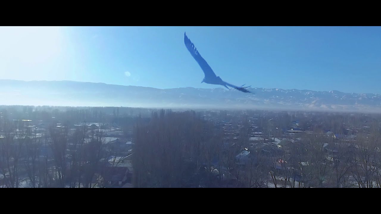 Мен туымды мақтан етемін#1 Еңбекшіқазақ ауданы Лавар ауылы