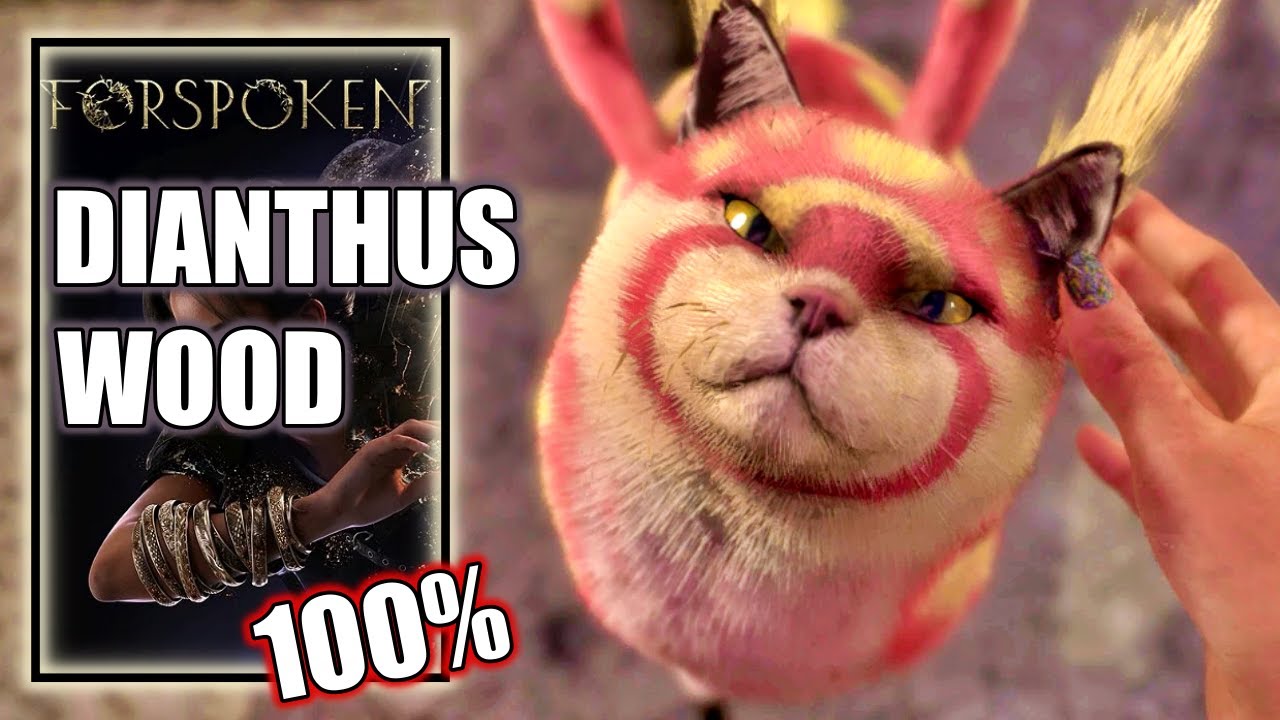 Forspoken - Dianthus Wood 100% All (Detours) Objectives, Locations & Fast Travels