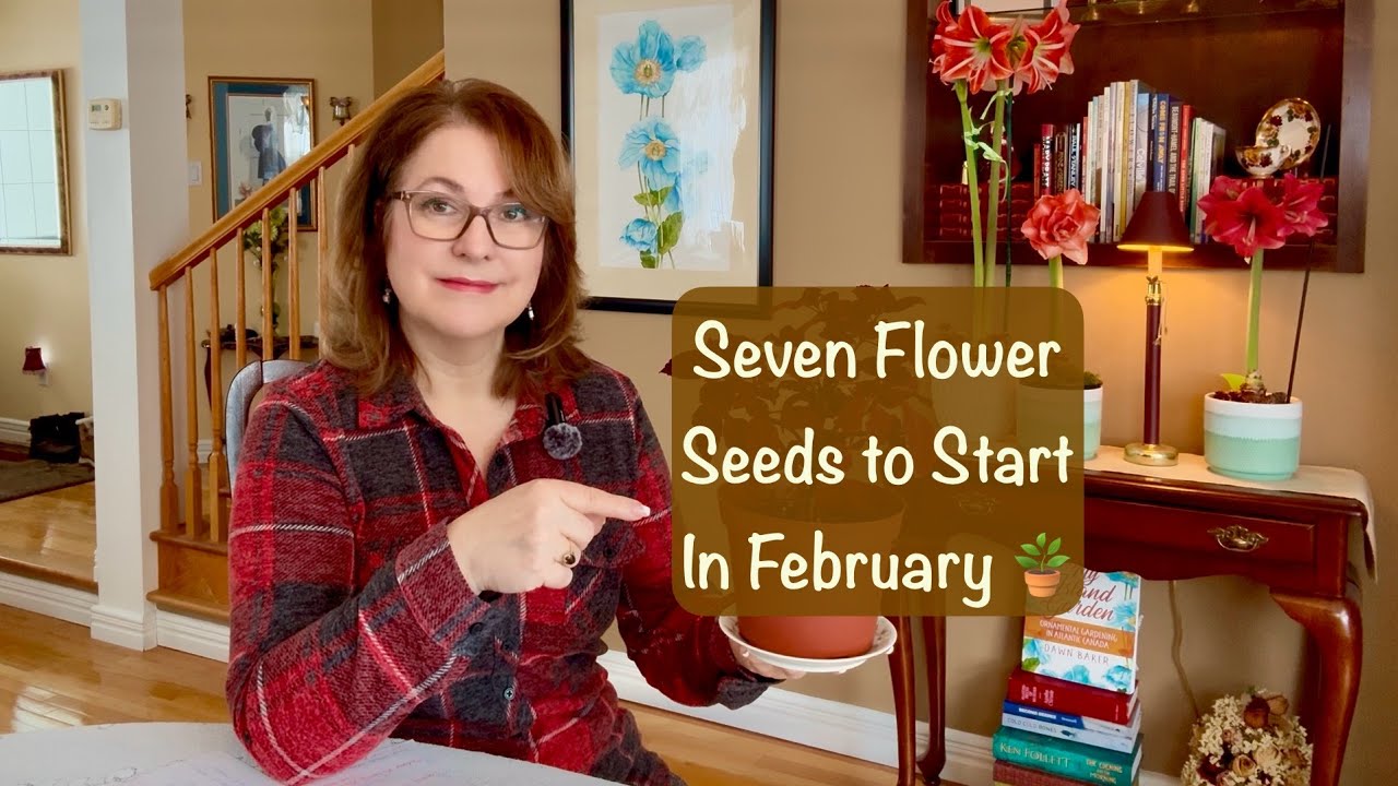 7 #FlowerSeeds to start in #February 🌱 Start early for a spectacular summer #garden! #zone5
