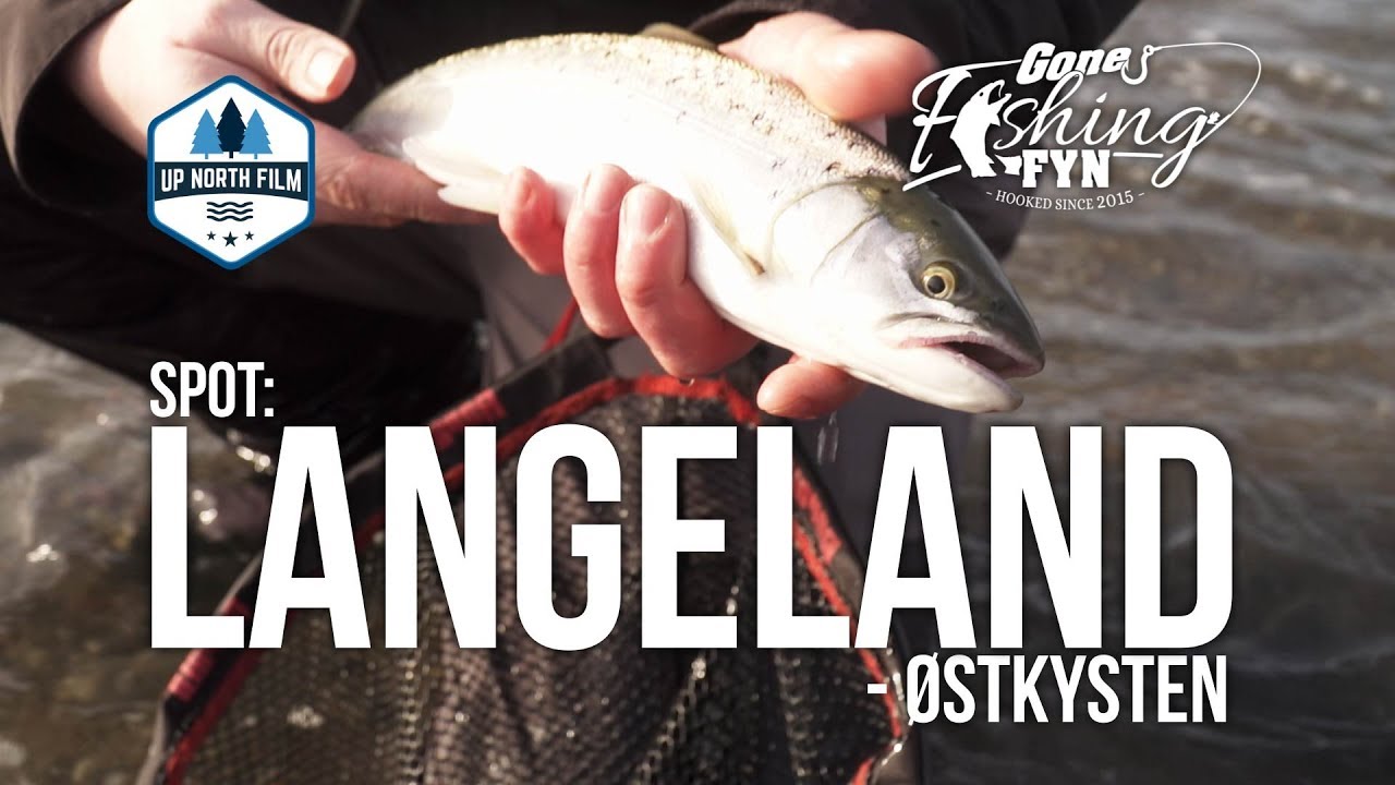 Spotguide: Langeland - Østkysten // Gone Fishing TV