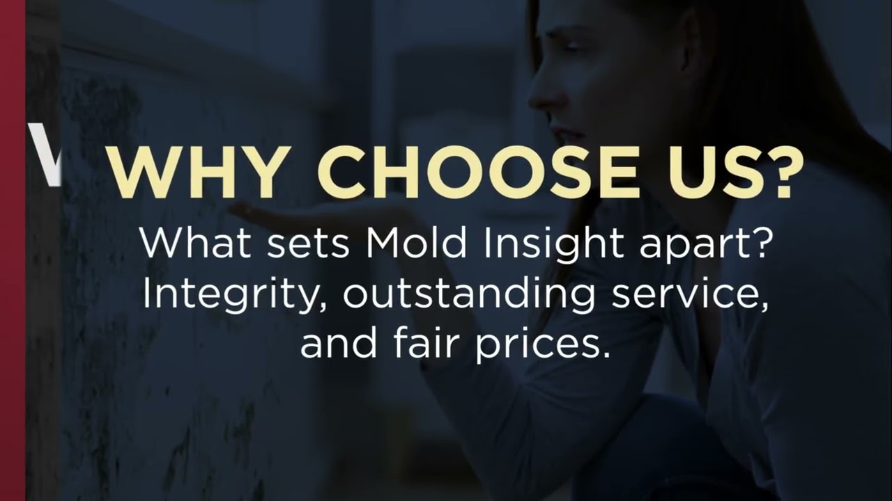 Mold Insight Inc. | Consumer Choice Award