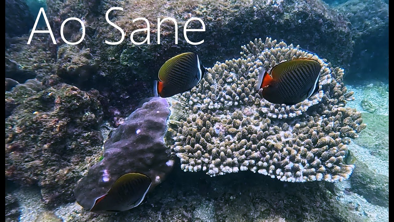 Ao Sane beach snorkeling, best in Rawai [4K]