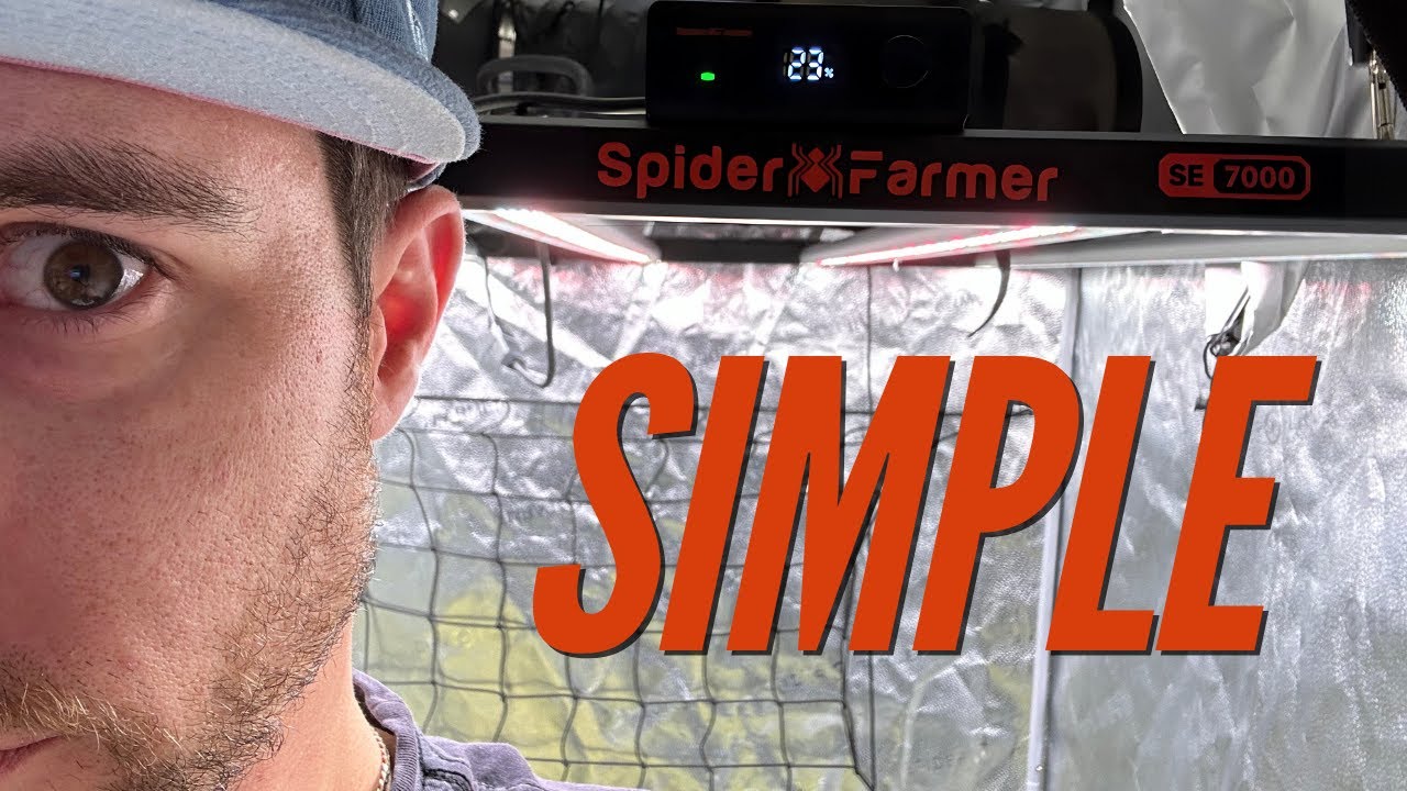 Продвиньте свою ИГРУ с освещением для растений! | Мой новый свет | SE7000 от SpiderFarmer