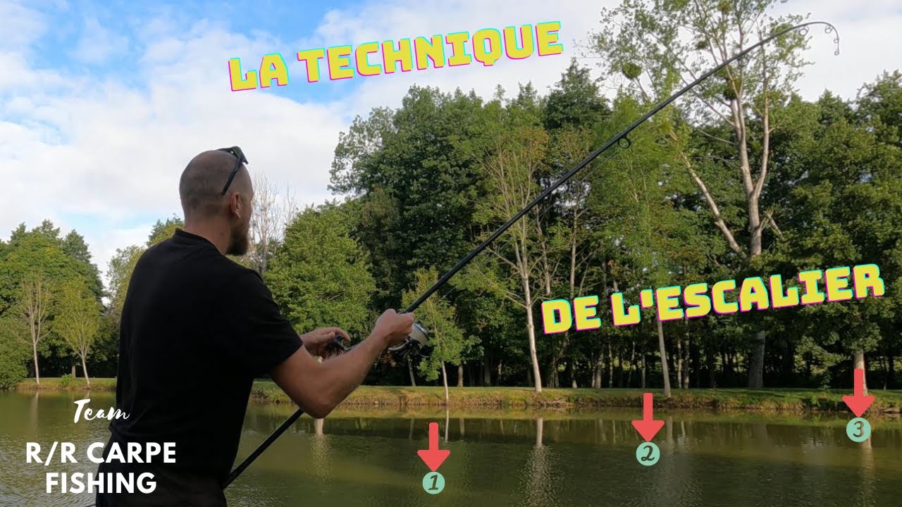 Pêche à la carpe La technique de l'escalier ...