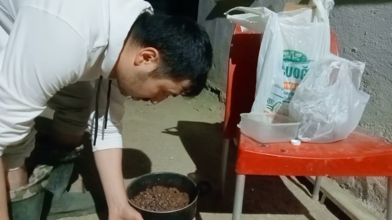 Alman Çoban Köpeğim Şila' nın Doğum Sancısı Geldi🐕🐾 #germanshepherd #youtube #köpek