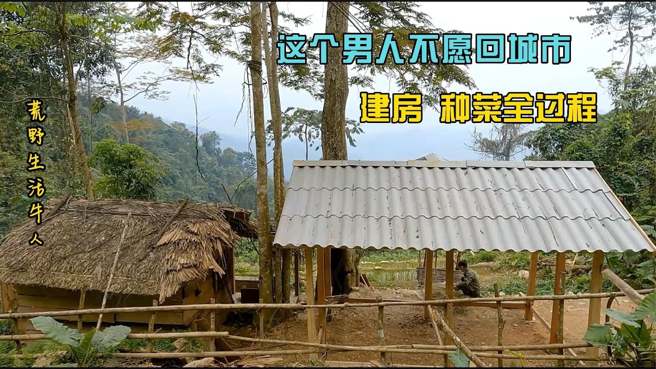 這個男人為逃避城市，荒山中建木房和開墾菜地全過程