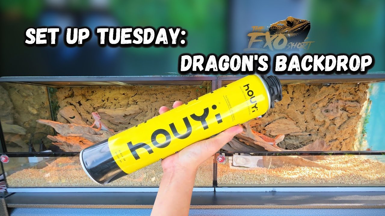 Set up Tuesday: Dragon's Backdrop🔥