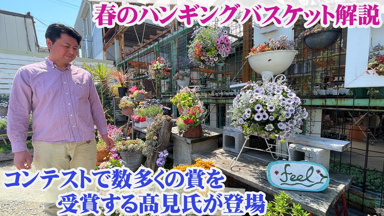 【ガーデンショップfeel】ハンギングバスケット4月の作品例と髙見さん解説【園芸】【ガーデニング】