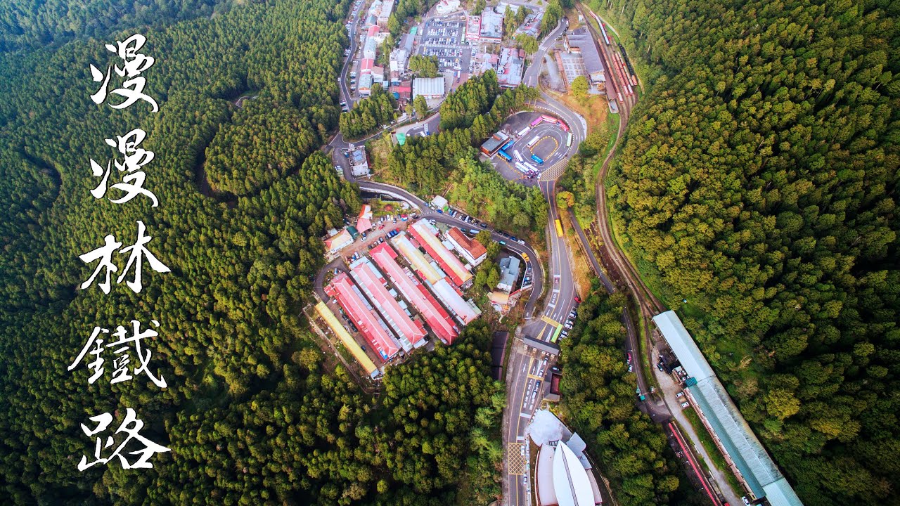 《漫漫林鐵路》阿里山林業鐵路 #林鐵