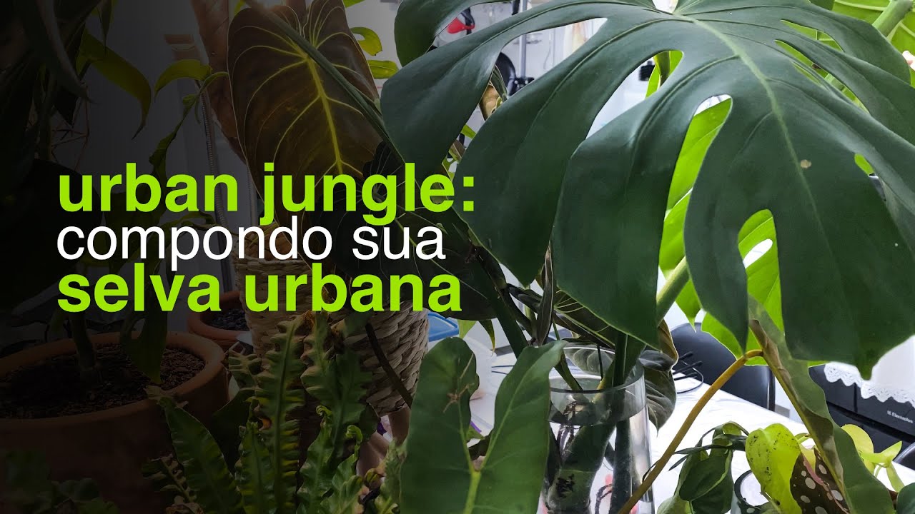 Urban Jungle: Compondo Sua Selva Urbana | Flay
