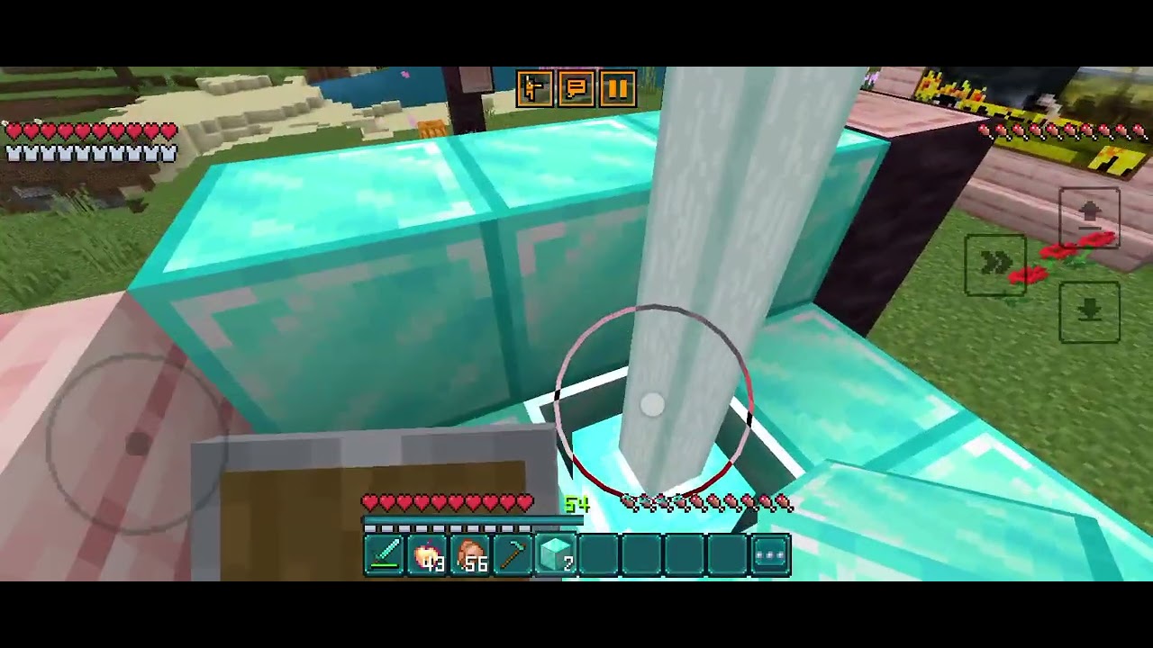 Minecraft video 