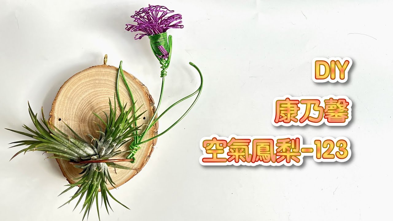 DIY wire 教你如何使用彩色鋁線製作空氣鳳梨康乃馨 How to make Aluminum wire Air plant flowerstand carnation