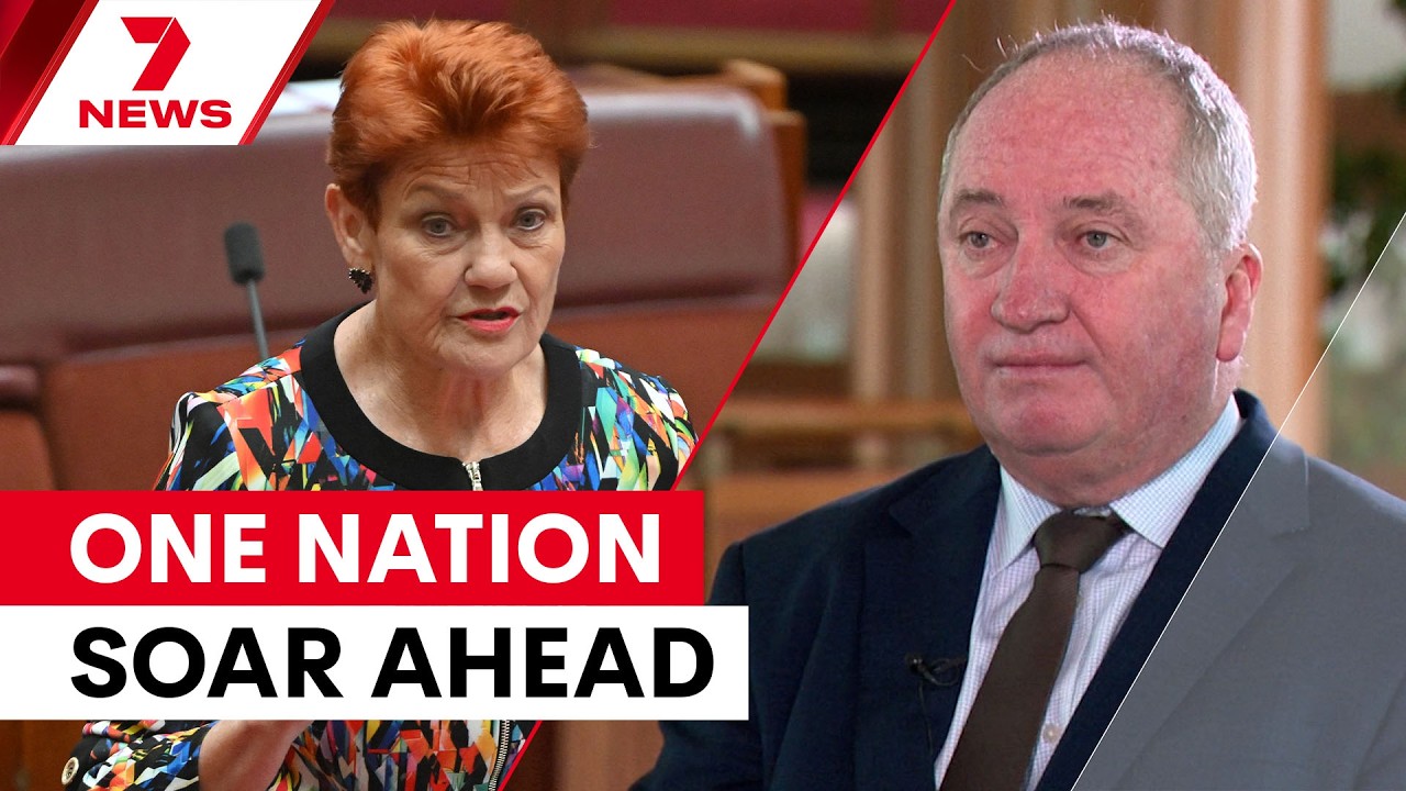 Could One Nation be leading Australia soon? Barnaby Joyce thinks so | THE ISSUE