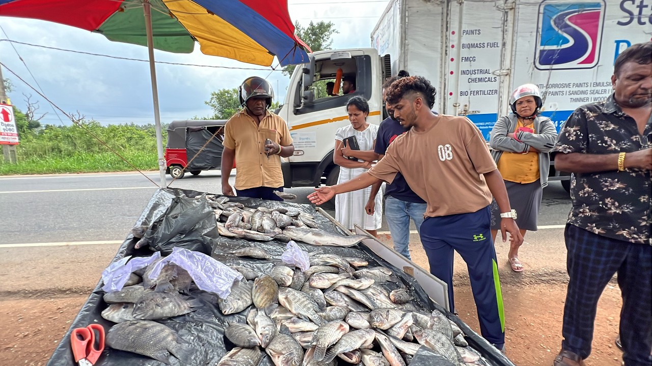 Living Like a Local: My Freshwater Fish Market Experience