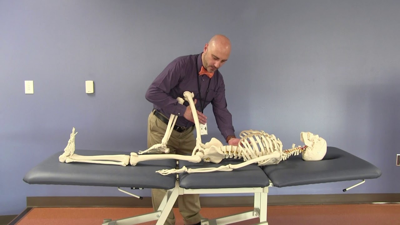 Quadratus Lumborum (QL) Long-Lever Indirect Myofascial Release