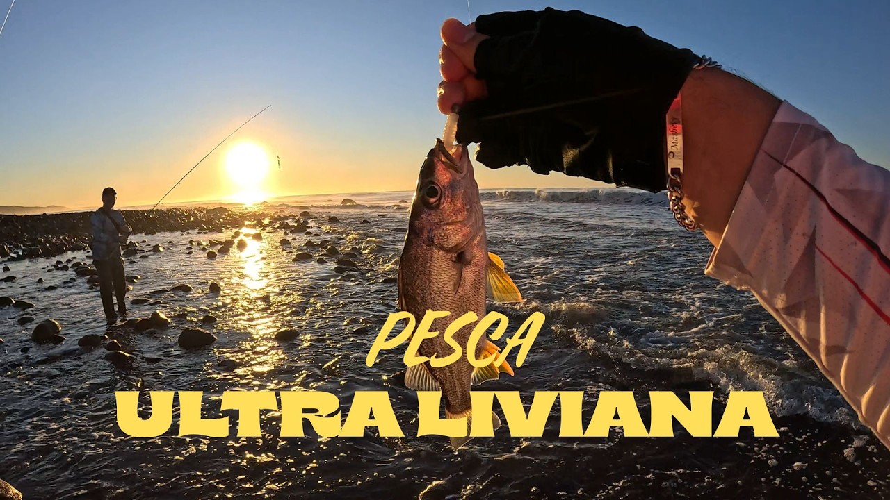 ¿Quieres alcanzar podio en Torneos de Pesca UL? Aquí el mejor señuelo! #elsalvador #pesca #fishing