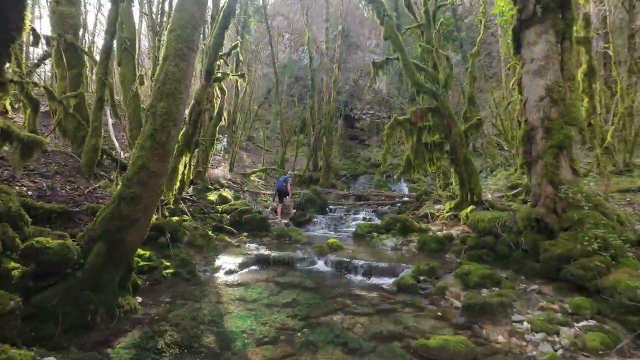 La cascade de Burbanche & la cascade des dards à découvrir dans l’Ain