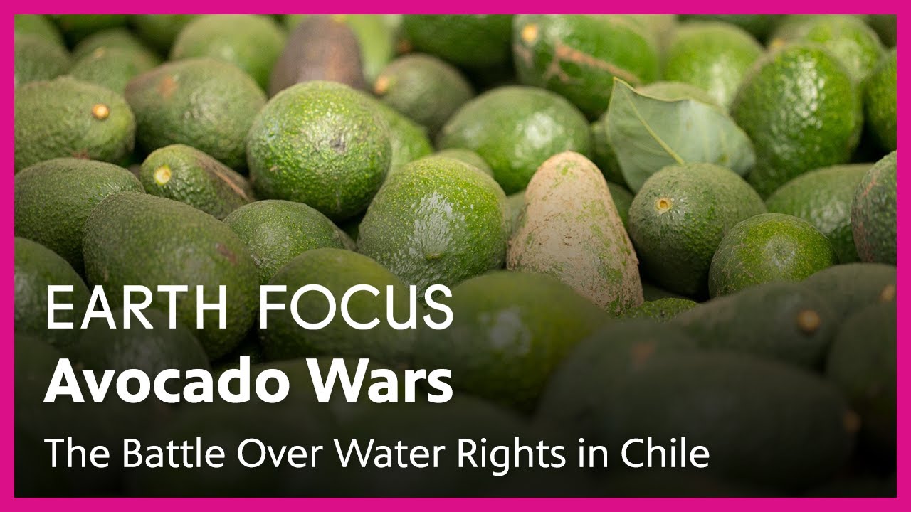 Avocado Wars: The Battle Over Water Rights in Chile | Earth Focus | Season 2, Episode 2 | PBS SoCal