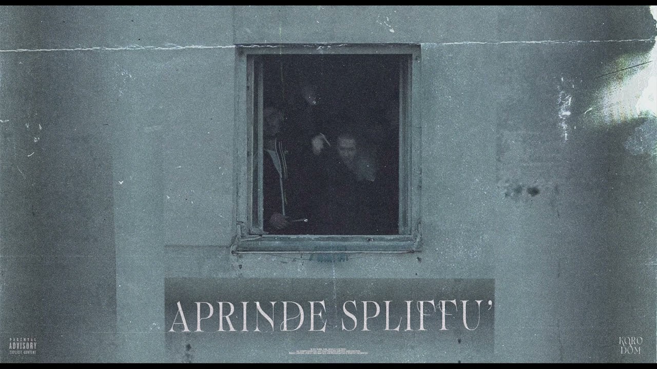 Koro x DOM - Aprinde Spliffu' (Audio)