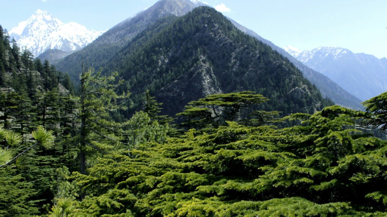 Harshil valley!!! 