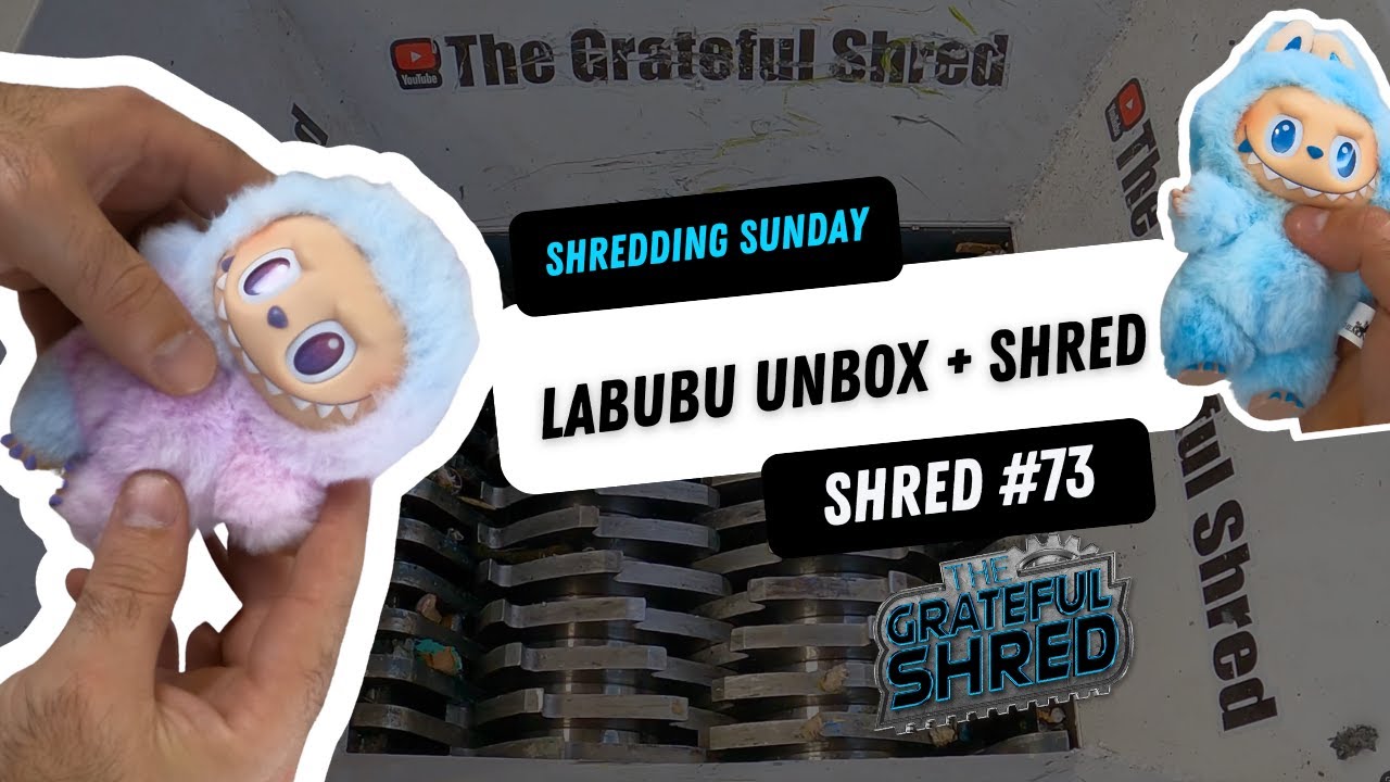 Labubu Figures - Unboxing & Shredding | Oddly Satisfying