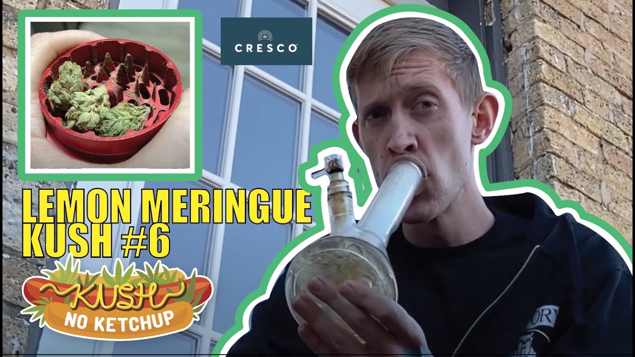Lemon Meringue Kush #6 Strain Review | KUSH NO KETCHUP