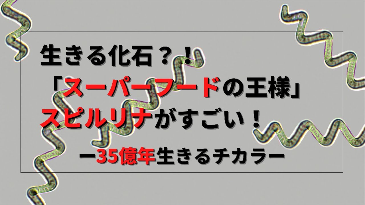 生きる化石？！「スーパーフードの王様」スピルリナがスゴイ！ー35億生きるチカラ－