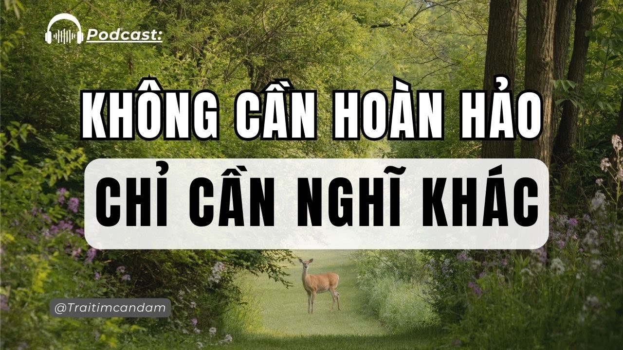 Bạn Không Cần Trở Nên Hoàn Hảo - Podcast | Trái Tim Can Đảm