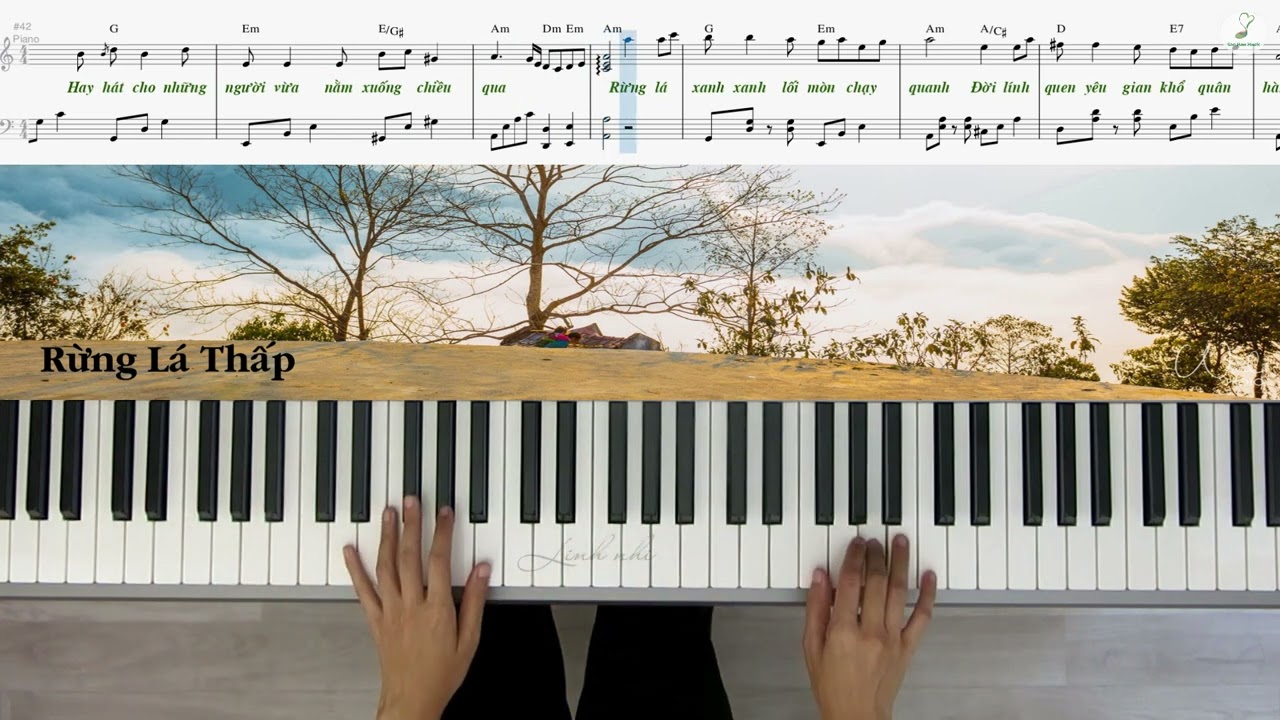 Rừng Lá Thấp | Piano solo | Easy level | Linh Nhi