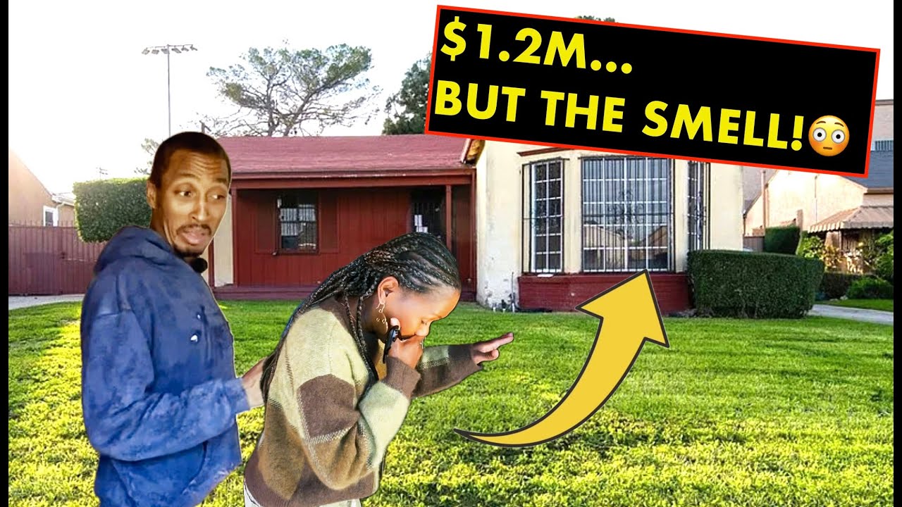 Is It Worth It?: $1.2M — Gut It All or Save the Character? 👀