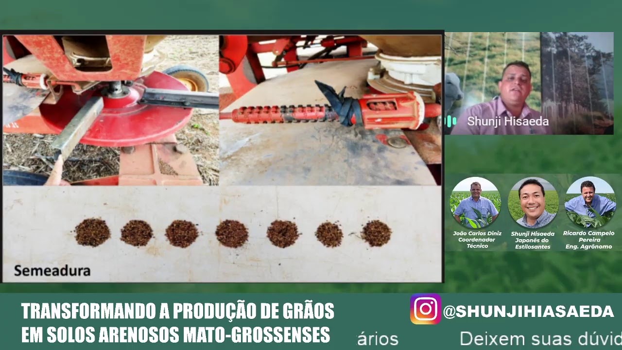 TRANSFORMANDO A PRODUÇÃO DE GRÃOS  EM SOLOS ARENOSOS MATO-GROSSENSES