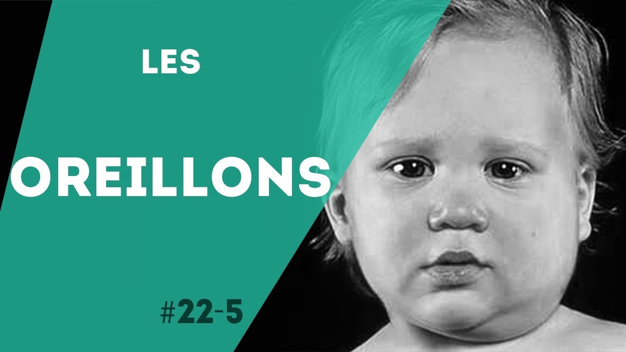 PNN 22.5 - Les Oreillons