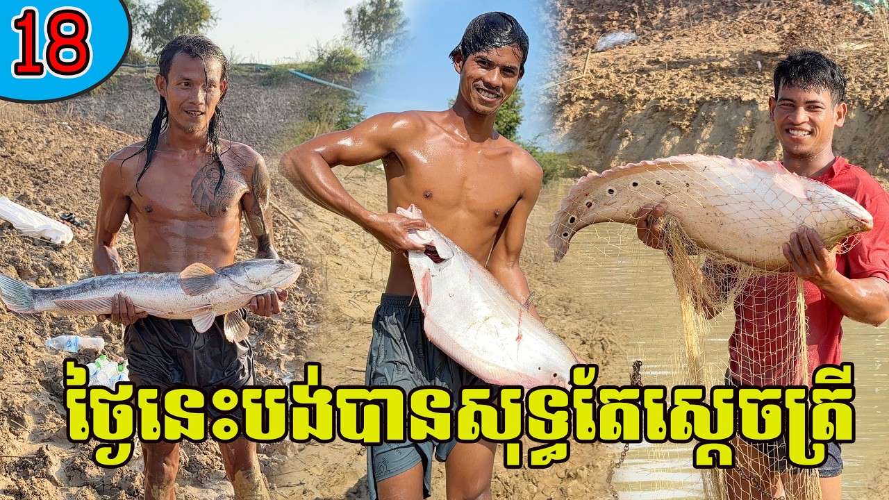 រដូវកាលបង់ត្រីផុសតាមបឹង ប៉ះចំបឹងសុទ្ធតែស្ដេចត្រី Ep18