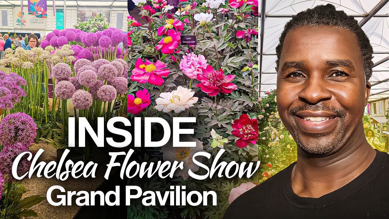 Inside RHS Chelsea Flower Show Grand Pavilion 2025 🌸 | London  (Part 1)