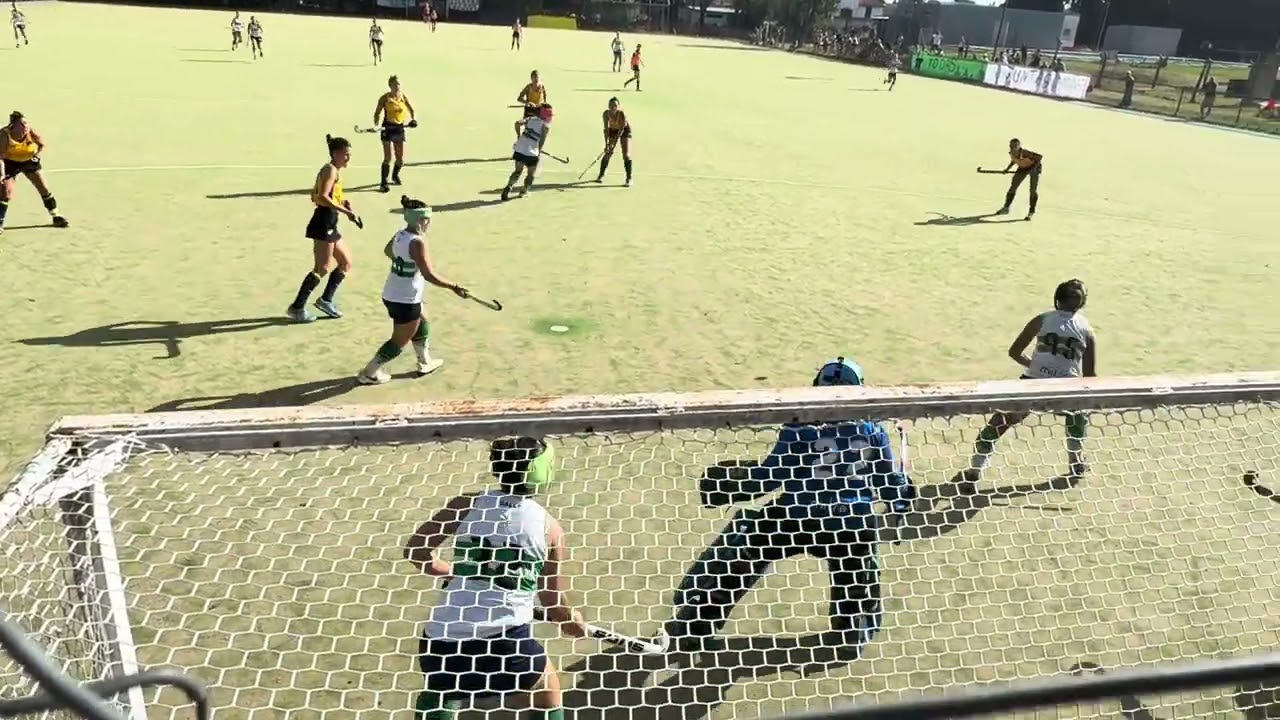 2Q vs. Regatas B.V 